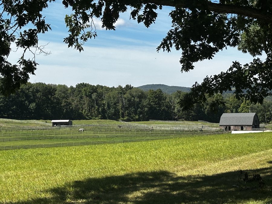 Paddocks and barns under an oak in Columbia County